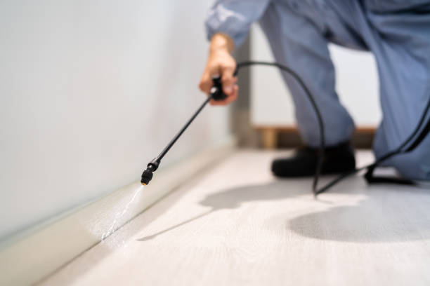 Licensed Cockroach Control service in Cottonwood Shores, TX - Nex Pest Control